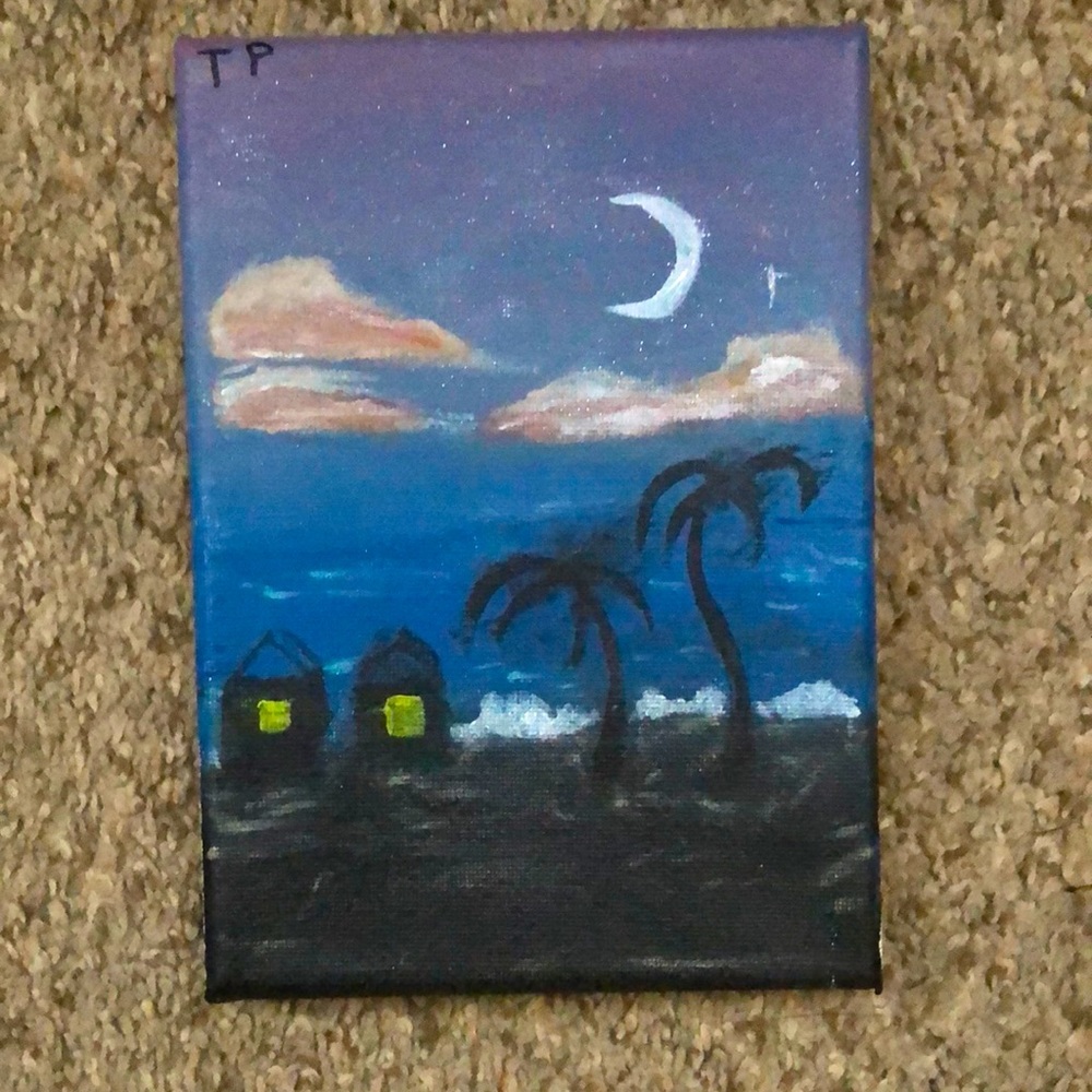 My painting of night sky at beach